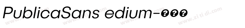 PublicaSans edium字体转换